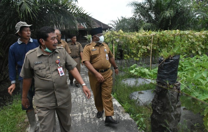  Bupati Kampar Tinjau Program Ocu Mapan di Bangkinang Kota