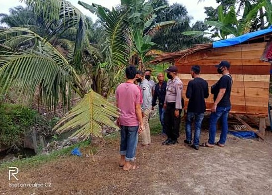  Polsek Kota Kisaran Temukan 52 Butir Pil Ekstasi Tak Bertuan di Pohon Kelapa