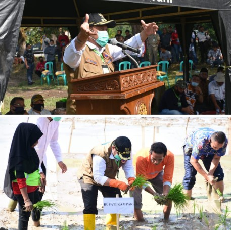  Canangkan Program Percepatan Tanam Padi, Pemkab Kampar Jaga Stabilitas dan Ketersediaan Pangan di Masa Pendemi Covid-19