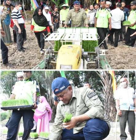  Sekda Kampar: “Jangan Gengsi Jadi Petani”