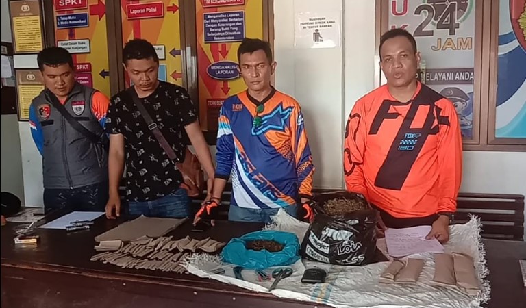  Kapolsek Padang Bolak Pimpin Penangkapan Pengedar Ganja di Kecamatan Halongonan