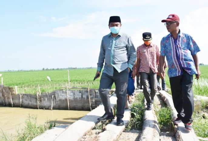  Wabup Sergai Serahkan 70 Kartu Tani di Desa Pematang Terang