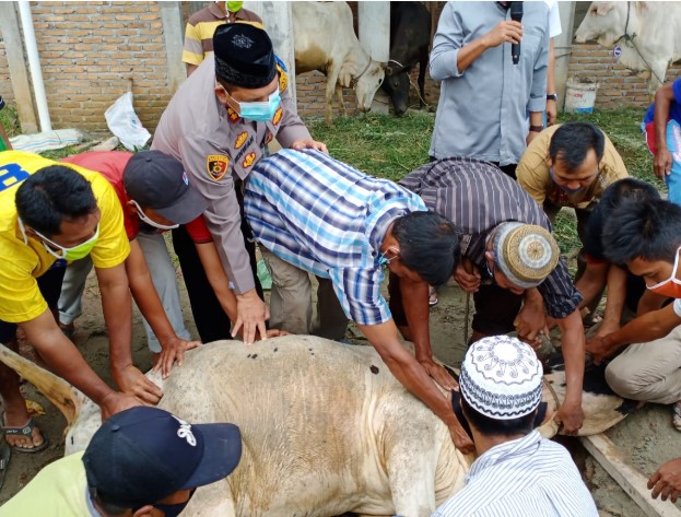  Keluarga Besar Polres Batubara Sembelih 11 Ekor Hewan Qurban