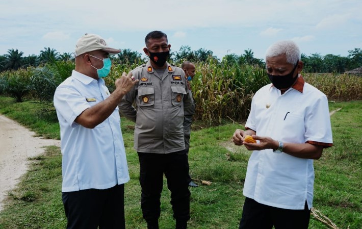  Bupati Asahan Intruksikan Perbaikan Objek Wisata Danau Teratai Dan Tumbuh Kembangkan Ketahanan Pangan Melalui Tanam Jagung