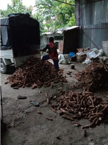  Dampak Dari Virus Corona, Usaha Gaplek Ubi di Siantar Terpuruk