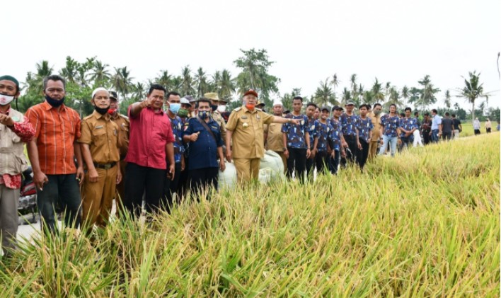  Bupati Sergai Apresiasi Pembangunan Desa di Kecamatan Tanjung Beringin