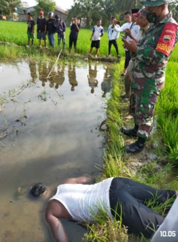  Warga Desa Pulau Sejuk Ditemukan Tewas Telungkup di Sawah Warga