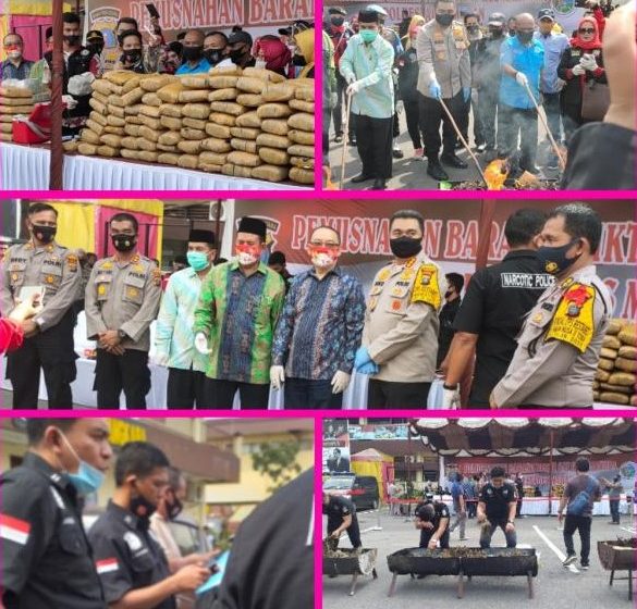  Polrestabes Medan dan Polsek Pancurbatu Bakar Ganja Senilai Rp1,7 Miliar