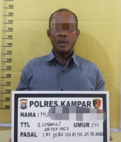  Cabuli Anak Tirinya Yang Masih Dibawah Umur, Pria Desa Karya Indah Ditangkap Unit II SatReskrim Polres Kampar