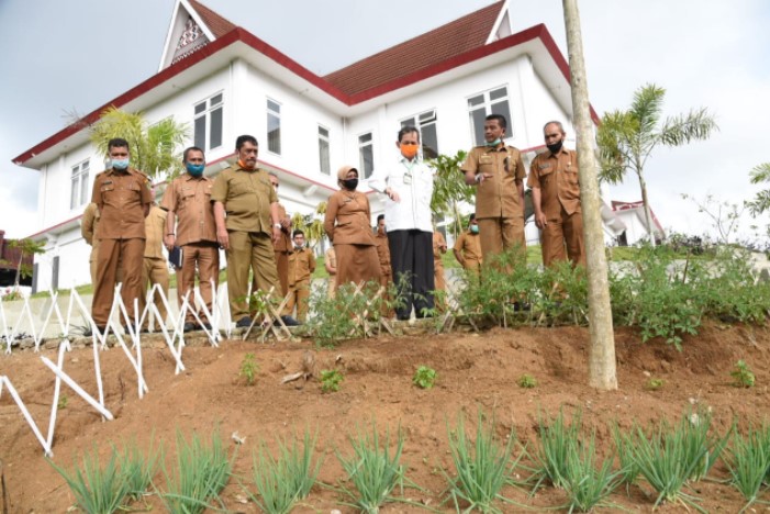  Bupati Tapsel Apresiasi Optimalisasi Lahan Perkantoran Menjadi Produksi Ketahanan Pangan