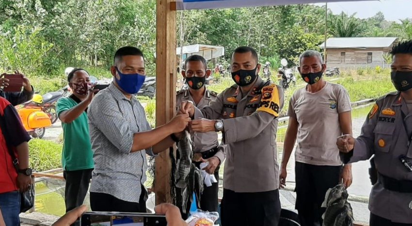  Kapolres Kampar Berbagi Hasil Panen Ikan Program Jaga Kampung Dengan Wartawan