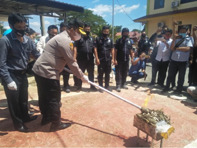 Polres Batubara Musnahkan 1 Kg Sabu dan 777 Gram Daun Ganja Kering