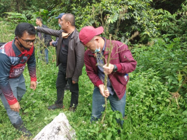  Satnarkoba Polres Karo Temukan Dua Ladang Ganja Tak Bertuan di Desa Dokan