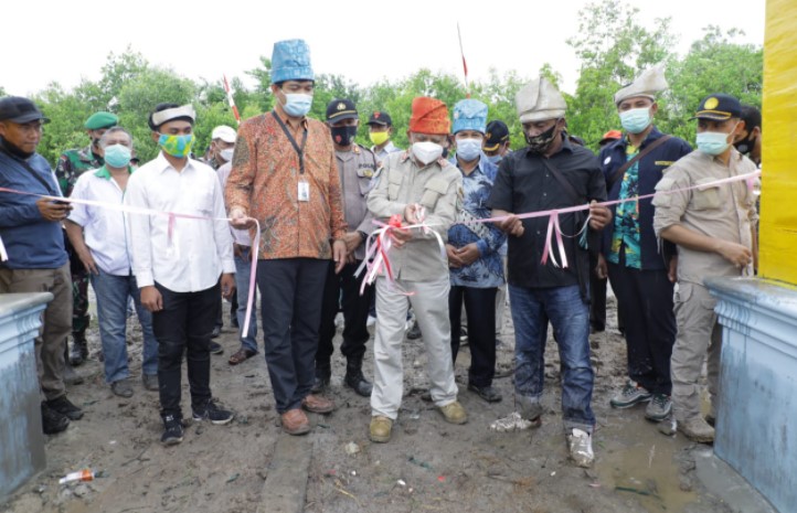  Bupati Asahan Resmikan Nursery Mangrove Desa Silo Baru