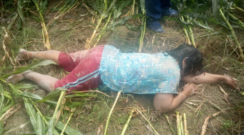  Nuriah Pardede Ditemukan Tewas di Ladang Jagung