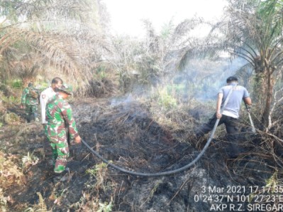  Kebakaran Lahan Sawit di Pandau Jaya, Kapolsek Siak Hulu Bersama Danramil Pimpin Pemadaman