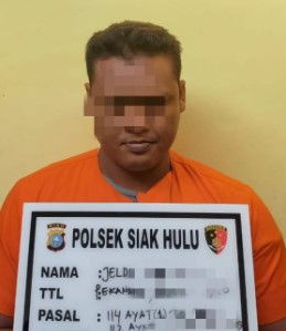  Polsek Siak Hulu Tangkap Pengedar Sabu di Desa Pandau Jaya