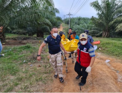  Pria ODGJ Ditemukan Tewas di Perkebunan Sawit PT Socfindo