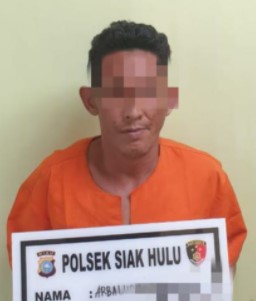  Polsek Siak Hulu Tangkap Pelaku Pencabulan Anak Dibawah Umur di Desa Kubang Jaya