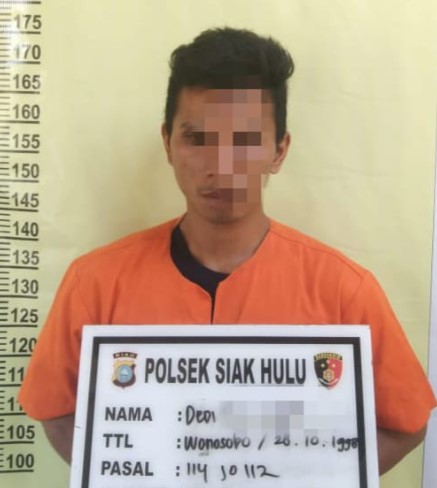  Polsek Siak Hulu Tangkap Pelaku Narkoba dan 9 Paket Sabu Siap Edar