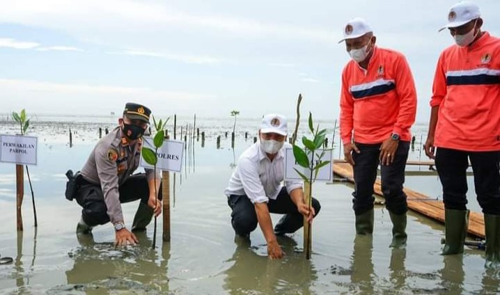  Peringati Hari Lingkungan Hidup Sedunia, Pemkab Batubara Tanam 3100 Pohon Mangrove