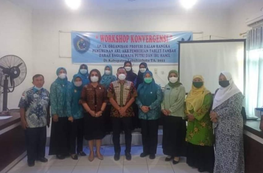 Dinkes Labuhanbatu Buka Workshop Konvergensi Penurunan AKI dan AKB