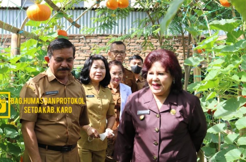  Bupati Karo Launching Tempat Pelayanan Kesehatan Hewan dan Penyerahan Polis Asuransi Usaha Ternak