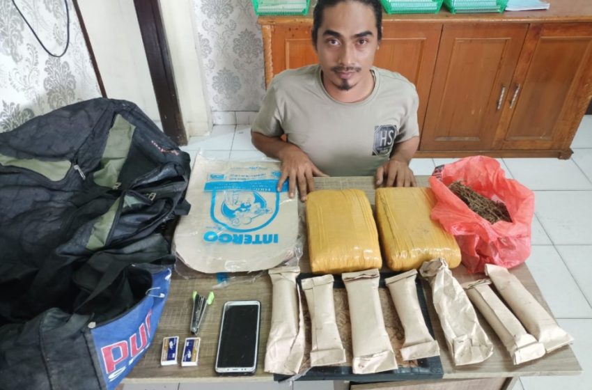  Pengedar Ganja Ditangkap Polres Siak di Kerinci Kanan