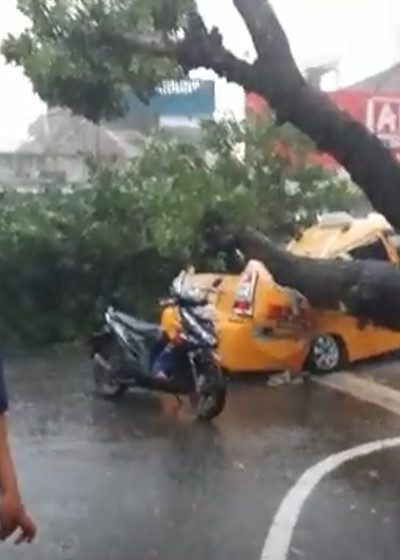  Pohon Tumbang Timpa Angkot di Medan, 2 Pegawai RSUP Adam Malik Meninggal Dunia