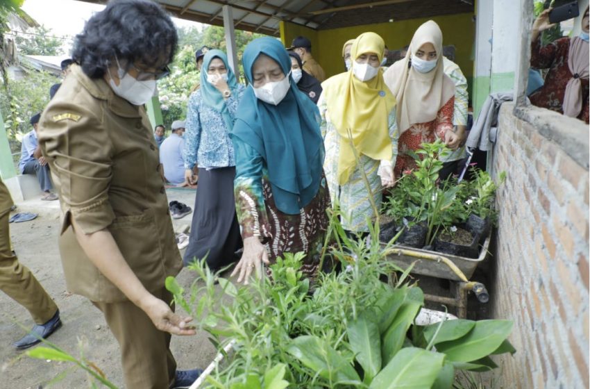  Ketua TP PKK Asahan Sosialisasi Tanaman Toga dan Pengembangannya