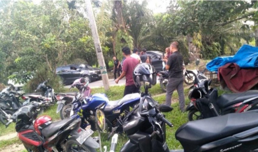  Viral di Media Sosial, Polres Batubara Gerebek Arena Judi Sabung Ayam