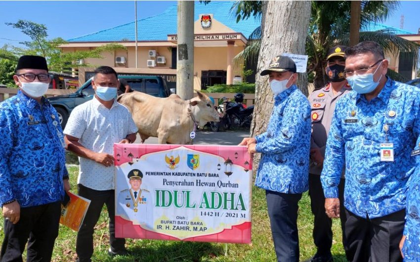  Sambut Idul Adha, Bupati Batubara Serahkan 43 Hewan Qurban