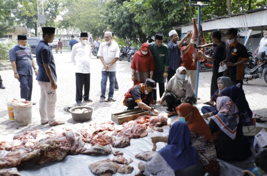  Bupati dan Wakil Bupati Asahan Tinjau Pelaksanaan Penyembelihan Hewan Qurban