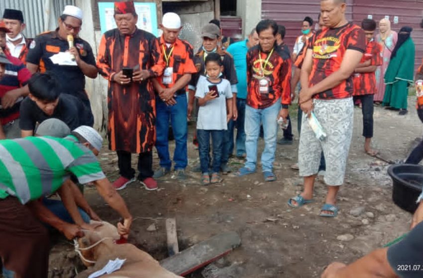 Idul Adha 1442 H, PAC PP Medan Area Berqurban 3 Lembu dan 5 Kambing