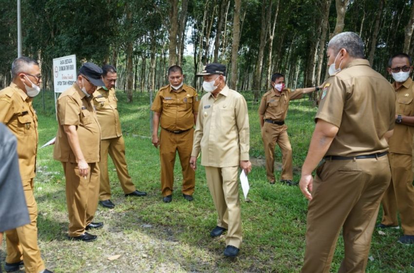  Bupati Asahan Minta Aktifkan Kios UMKM Saat Tinjau Hutan Kota TGS