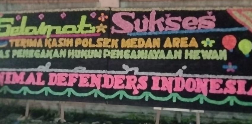  Usai Terdakwa Kasus Pencuri Kucing Divonis, Polsek Medan Area Kembali Dibanjiri Papan Bunga