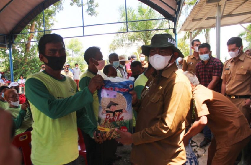  Bupati Darma Wijaya Harap Sergai Jadi Lumbung Padi Nomor Satu di Sumut