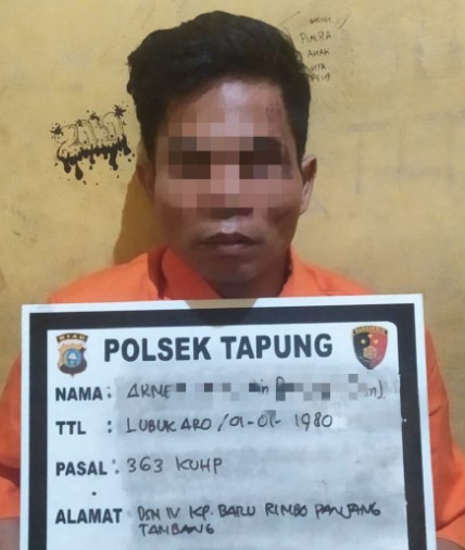  Bawa Kabur Truk Bermuatan Sawit Lalu Terguling, Pelaku Tertangkap Kejepit Truk