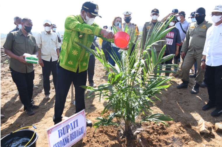  Bupati Sergai Hadiri Tanam Perdana di Kebun Tanah Raja PTPN III