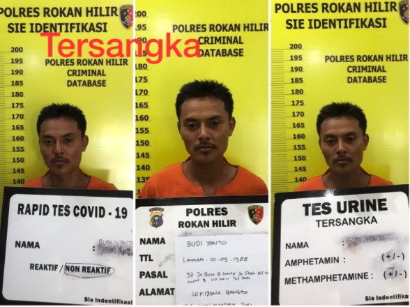  Polres Rokan Hilir Amankan 2 Terduga Pelaku Ilegal Logging di Hutan IUPHHK PT Diamond