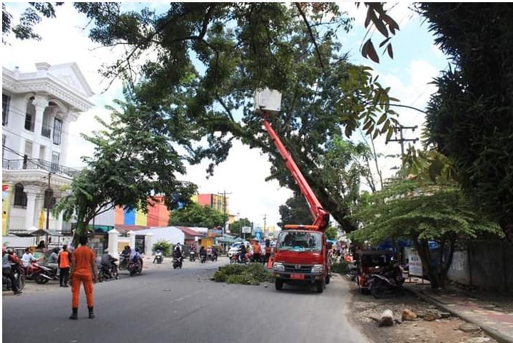 Laksanakan Instruksi Bupati , OPD di Labuhanbatu Pangkas Ranting Pohon di Tepi Jalan Kota Rantauprapat