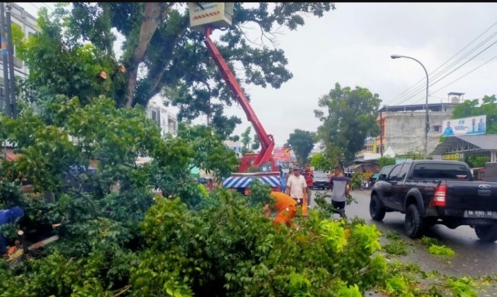 Peduli Keselamatan Pengguna Jalan, Bupati Labuhanbatu Perintahkan Dishub dan BPBD Pangkas Pohon Tua di Jalan Raya