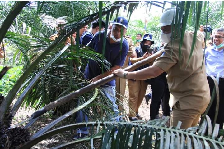 Bupati Labuhanbatu Bangga Program CSR-MLML Binaan PT Siringo-Ringo Sukses