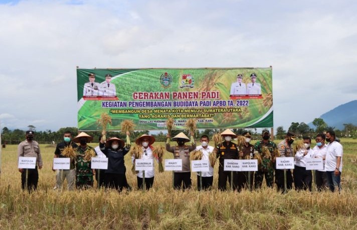  Kapolda Sumut Panen Raya Padi dan Tinjau Tanaman Bawang di Kab. Karo