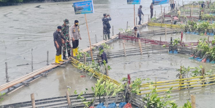  Bupati Asahan Bersama Forkopimda Tanam 10.000 Pohon Mangrove di Wisata Alam Mangrove