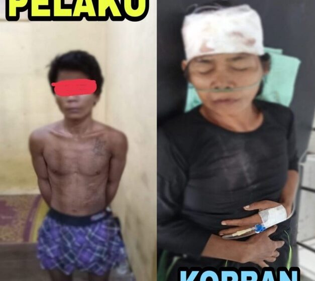  Bacok Ibu Kandung, Anak Diduga Gangguan Jiwa Ditangkap