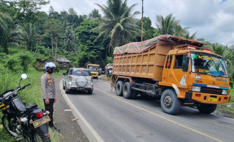 Kapolrestabes Medan Turun Tangan Urai Kemacetan Akibat Pohon Tumbang di Jalur Medan-Berastagi