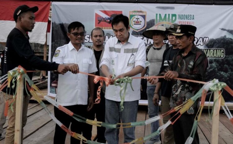 IMIP Bersama SDC Rehabilitasi Terumbu Karang di Pulau Sombori