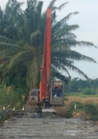  Optimis Setahun 2 Kali Panen, Petani Kampung Manggis Mulai Rasakan Manfaat Normalisasi Sungai Belutu