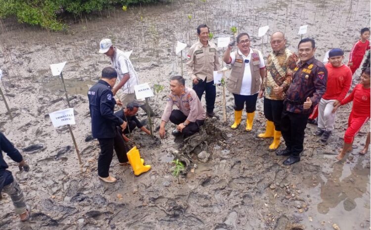 WHI Tanam 1 Juta Bibit Mangrove di Hari Lingkungan Hidup Sedunia